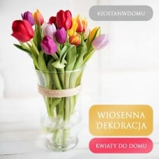 Flowers to your home - Tulips (Small)