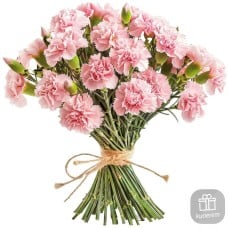 21 pink carnations