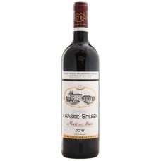 Château Chasse Spleen - Cru Bourgeois 2019 Moulis-en-Medoc - aoc