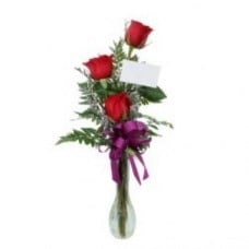 Three Roses In Vase