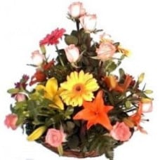 Spring arrangement
