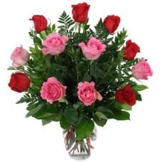 12 Pink And Red Roses Vase Included