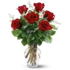 Six Roses In A Glass Vase