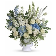 Precious One Sympathy Arrangement (Standard)