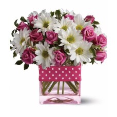 Sweet Baby Jane (Standard)
