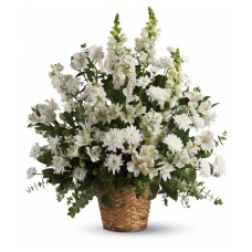 Serene Simplicity Sympathy Arrangement (Standard)
