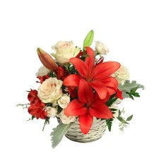 SERENE SCARLET & IVORY BASKET ARRANGEMENT (Standard)