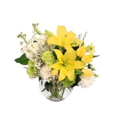 LUXURIOUS LEMON DREAM - FLORAL ARRANGEMENT (Standard)