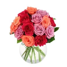 ROSE LOVERS (Standard)