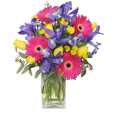 SPRING SMILES (Standard)