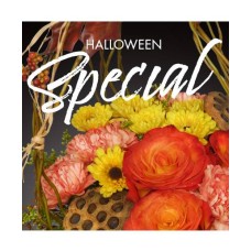 Halloween Special Designer's Choice (Standard)