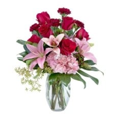 Blushing Rose (Standard)