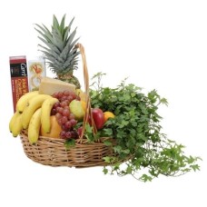 Fabulous Fruit and Cheese Basket (Standard)