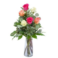 Six Roses (Standard)