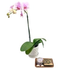 Chocolate and Flowers Deluxe