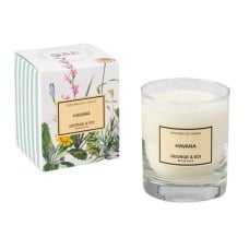 George & Edi Perfumed Soy Candle-Havana