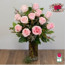 Beretania's Extra Long Stem Pink Rose Masterpiece (Standard)