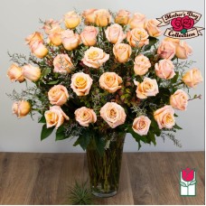 Beretania's 3 Doz. Extra Long Stem Peach Rose Bouquet (Standard)