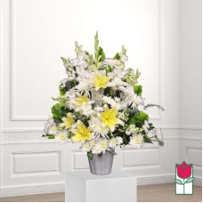 Beretania's Honokawai Sympathy Arrangement (Standard)