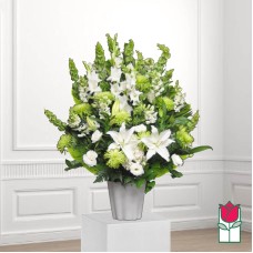 Beretania's Waimea Canyon Sympathy Arrangement (Standard)