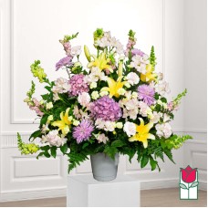 Beretania's Mana Sympathy Arrangement (Standard)
