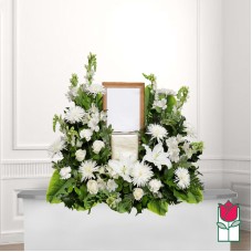 Beretania's Honohono Urn Spray (Standard)