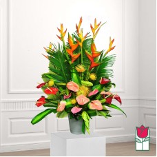 Beretania's Citron Tropical Bouquet (Standard)