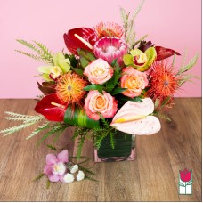 Beretania's Hawaiian Valentine Tropical [Tropical Varieties Vary] (Standard)