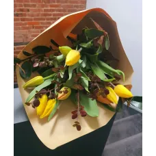Tulips