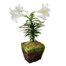 Holiday Centerpiece