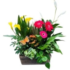 French Garden Planter (Small)