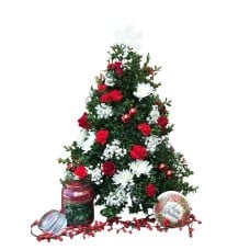 Tabletop Boxwood Tree