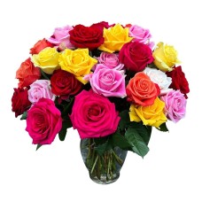 Roses Galore