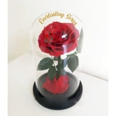 Everlasting Red Rose Premium