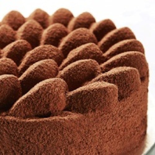 Tiramisu Cake