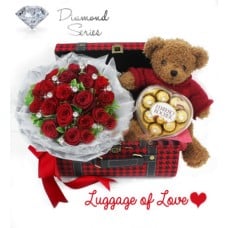 Luggage of Love