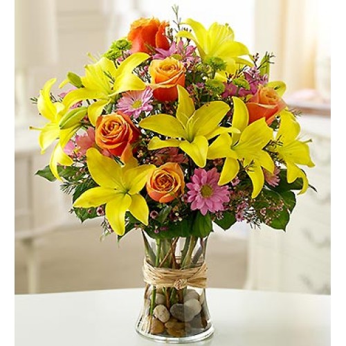 Bright and Beautiful