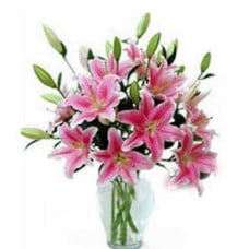 Pink Oriental Lilies