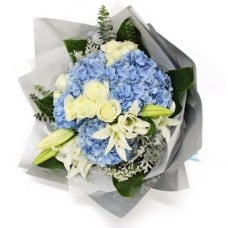 Blue Elegance