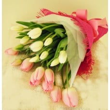 Bouquet of Tulips Kisses