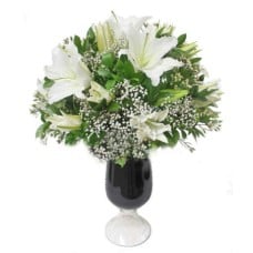 Love of Lilies