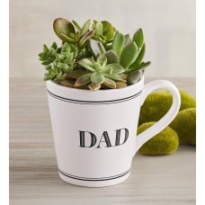 "Dad" Mug Succulent Garden