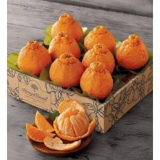 Sumo Citrus Mandarins