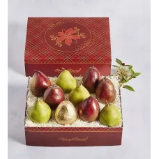 Colors of Christmas Pears