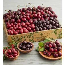 Plump-Sweet Cherries and Chocolate-Covered Cherries