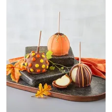 Harvest Design Chocolate-Covered Caramel Apples