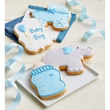 Welcome Baby Boy! Artisan Iced Cookies (Welcome Baby Boy Artisan Iced Cookies - set of 4)