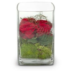 Roses 4 YOU