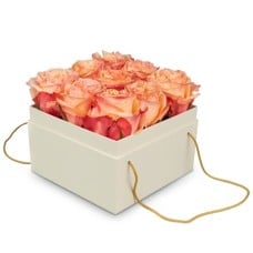 Flowerbox «Vienna» (15 Cm)