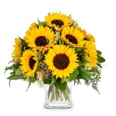 Sunflowers Pure (Minimum)